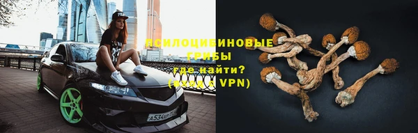 прущие крисы Новокубанск