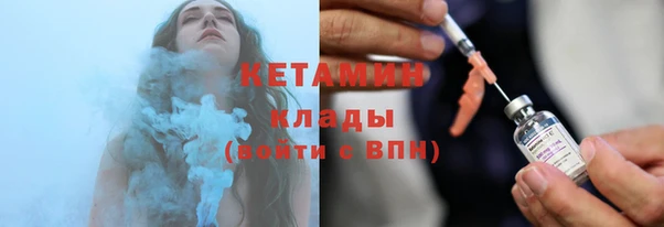 сатива Кострома