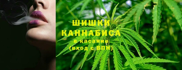 соль курить ск Новодвинск